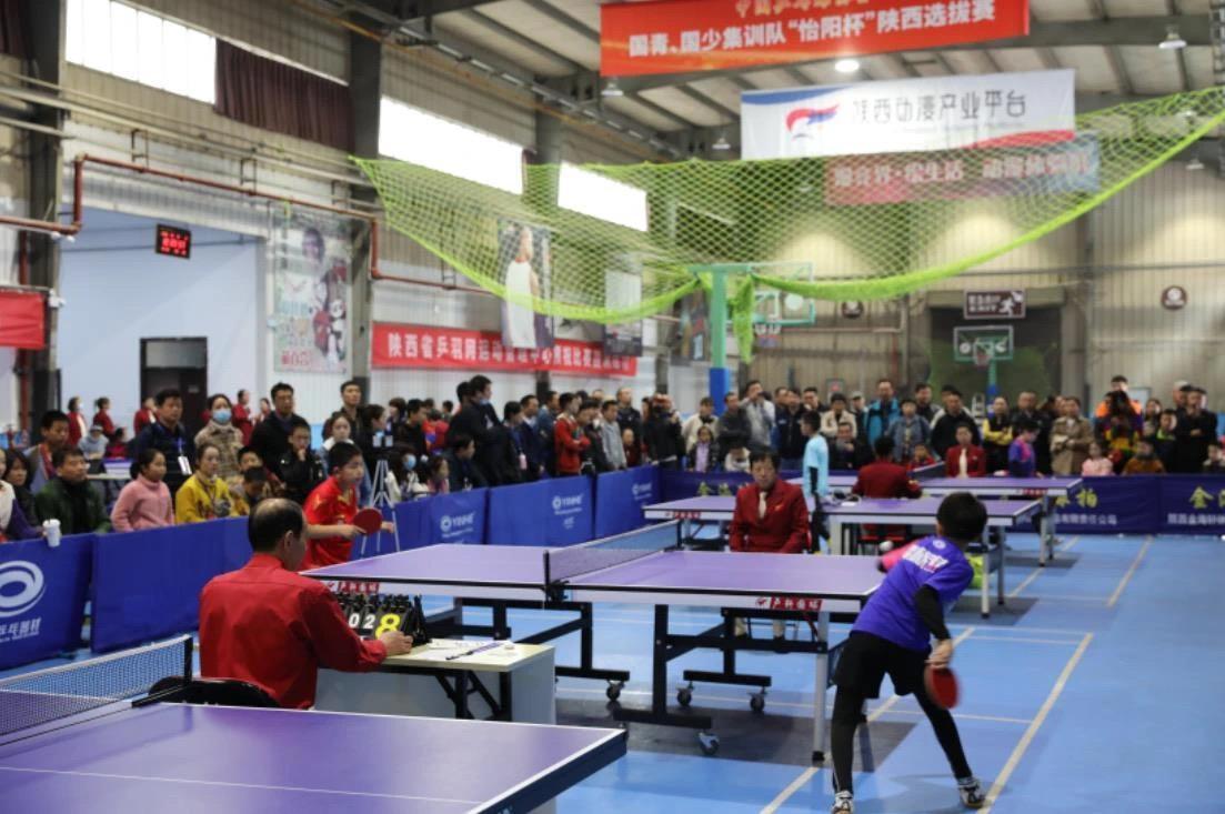 不俗的特点 不俗的特点