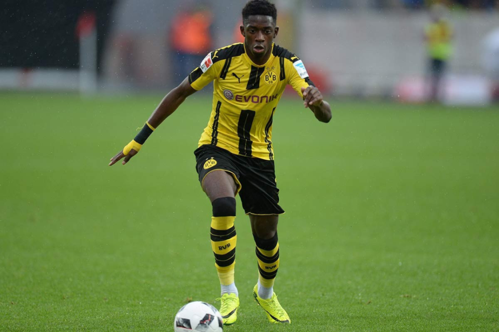 实力与履历 实力与履历