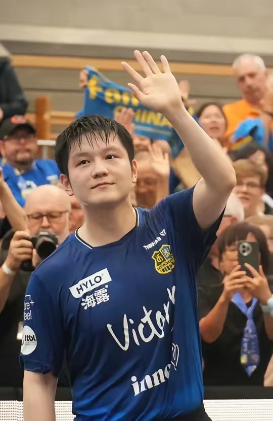 离不开系统 离不开系统