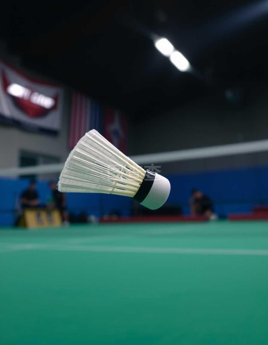 不仅是单一 不仅是单一